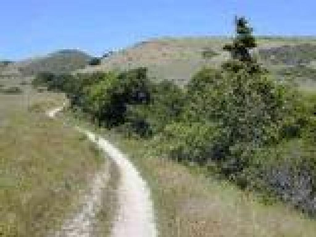 View uphill to the north
