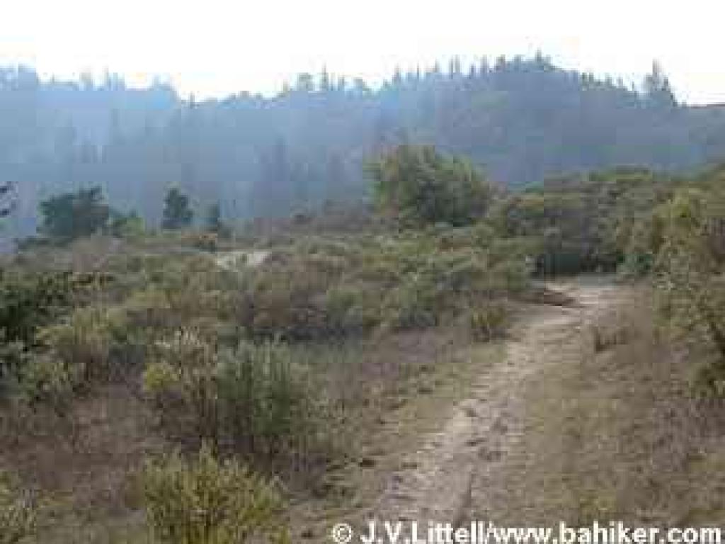 Lost Trail