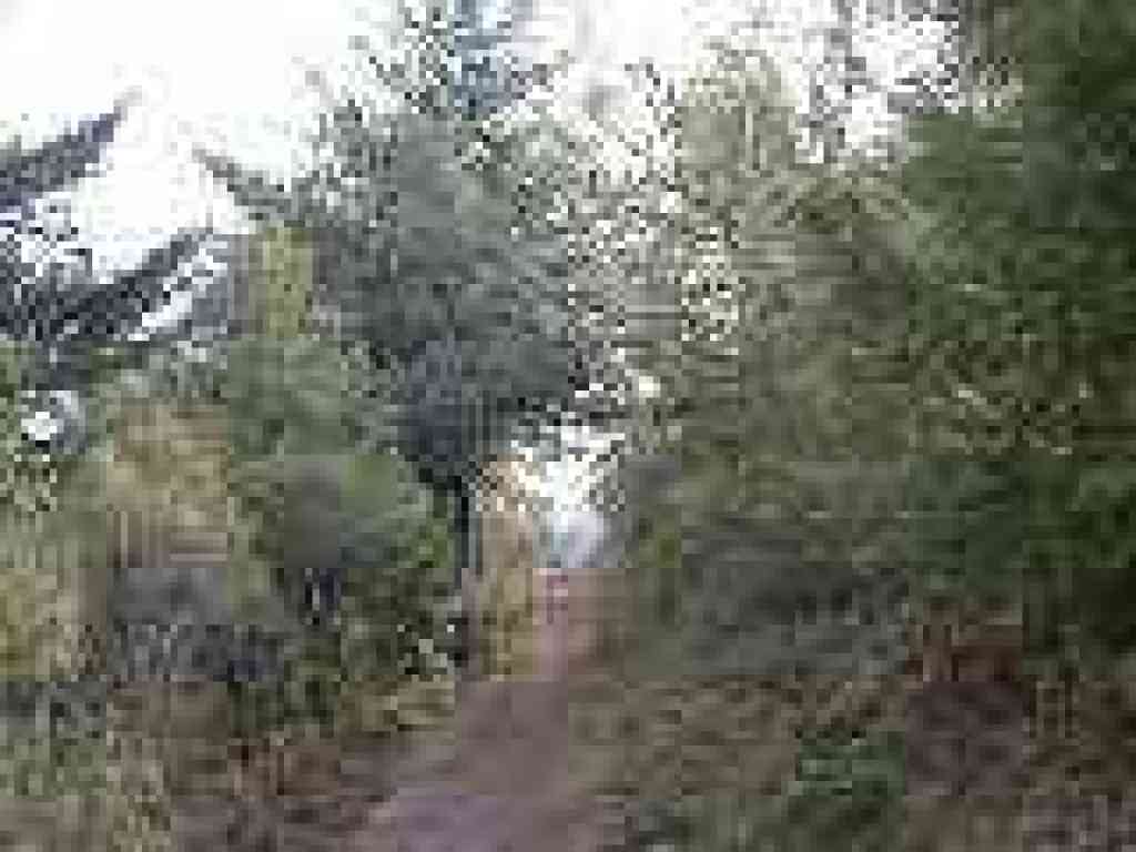 Lost Trail