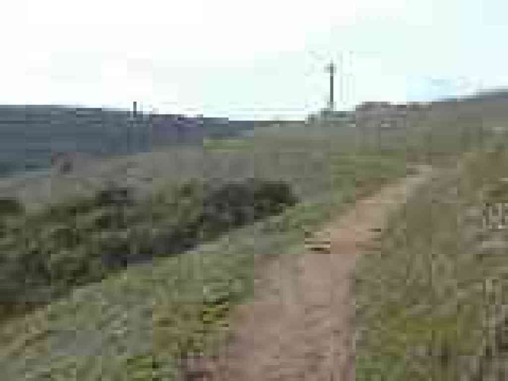 Lost Trail