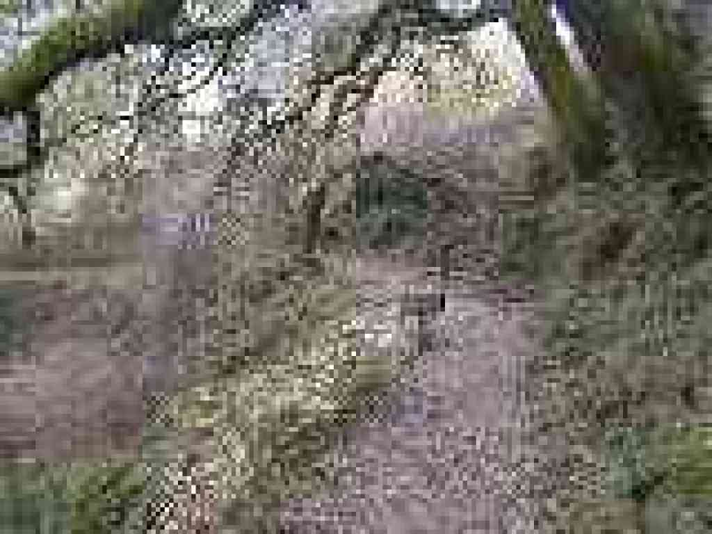 Junction with Hamms Gulch Trail