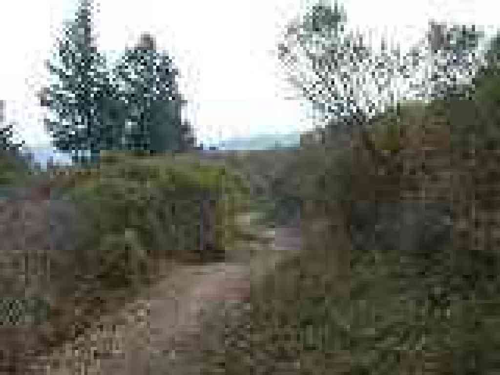 Lost Trail