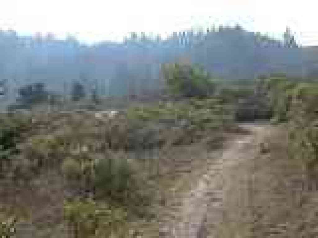Approaching junction