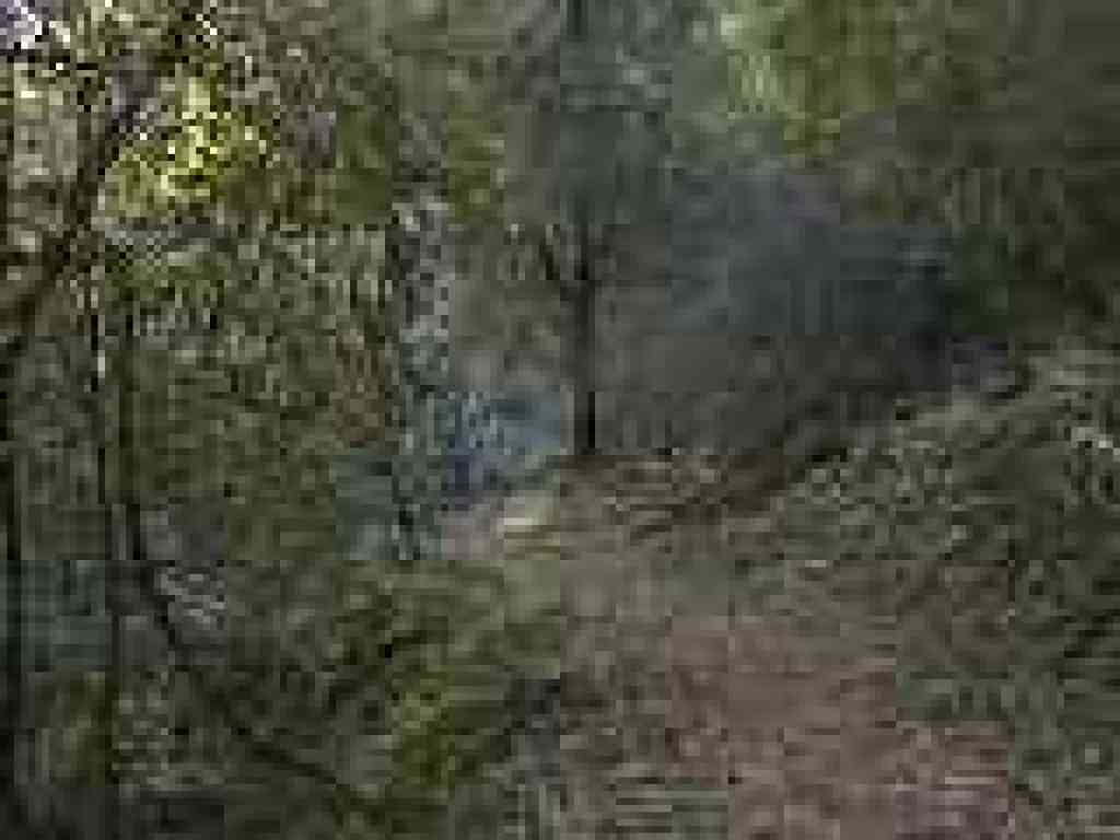 Lost Trail
