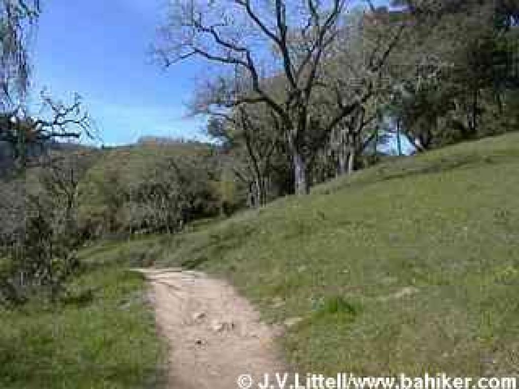 Hamms Gulch Trail