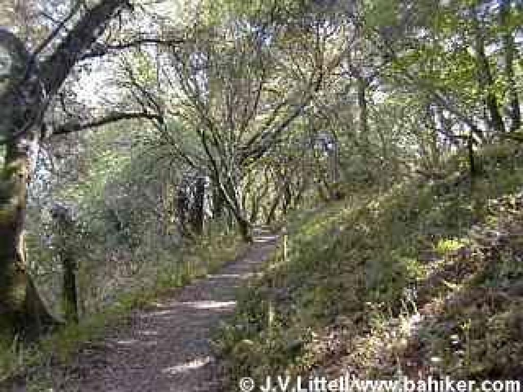 Hamms Gulch Trail