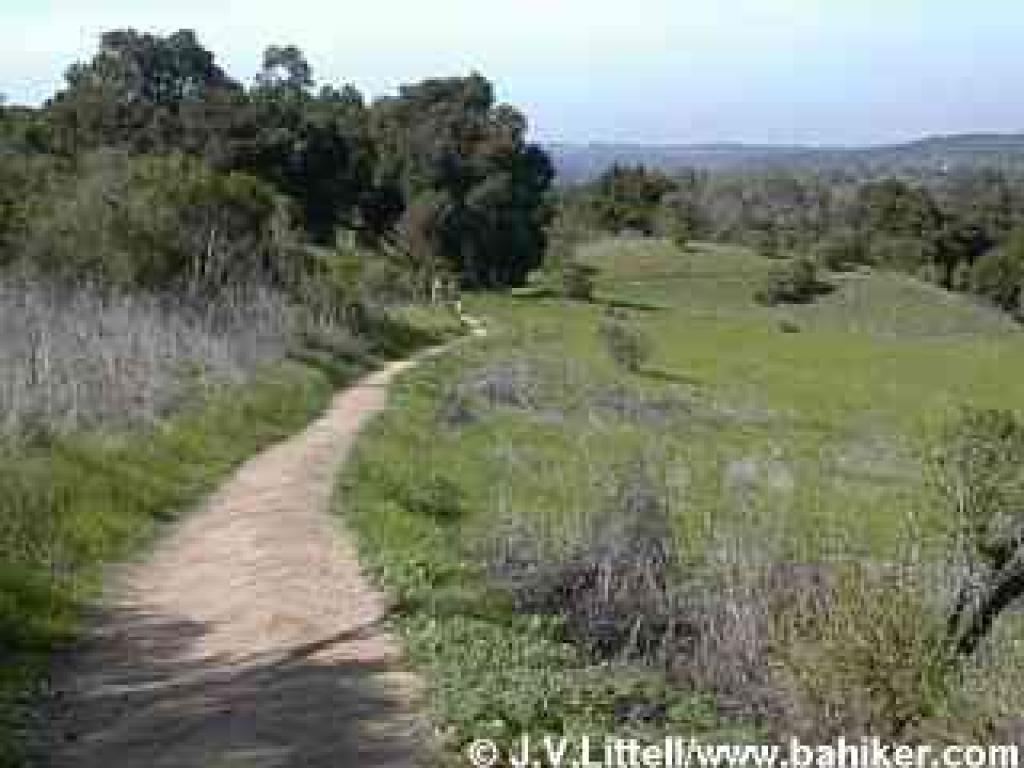Sausal Trail