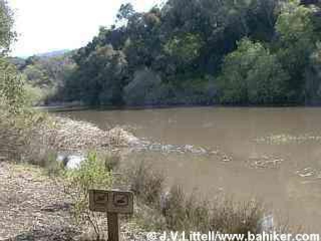 Sausal Pond