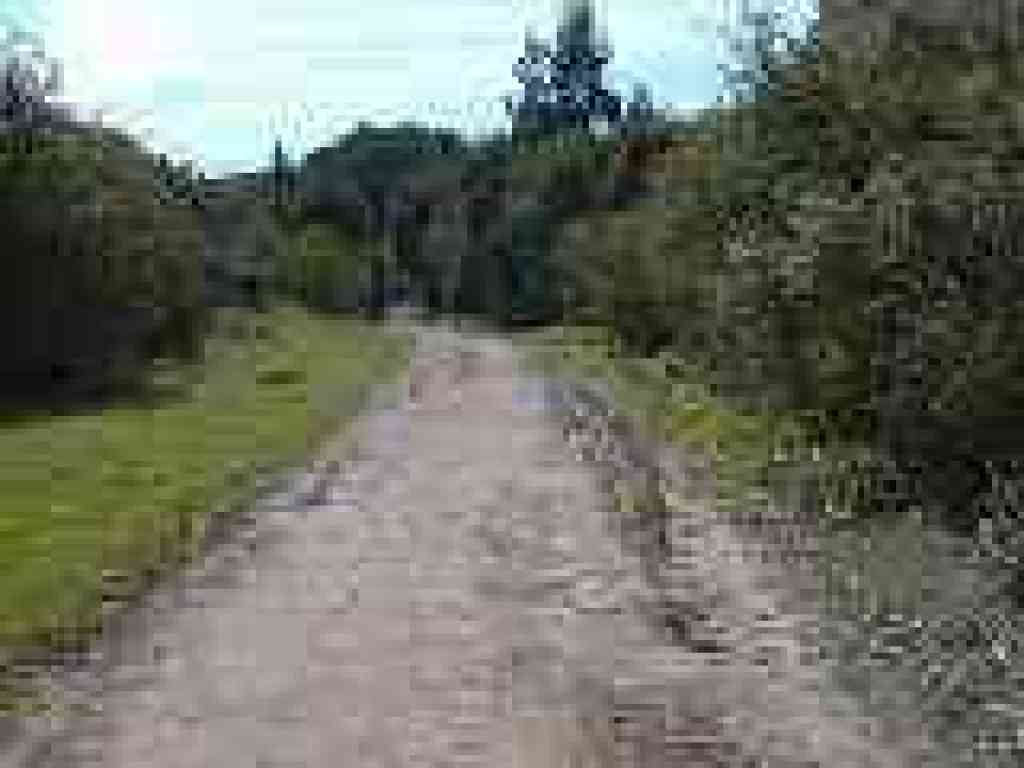 Trail past pond