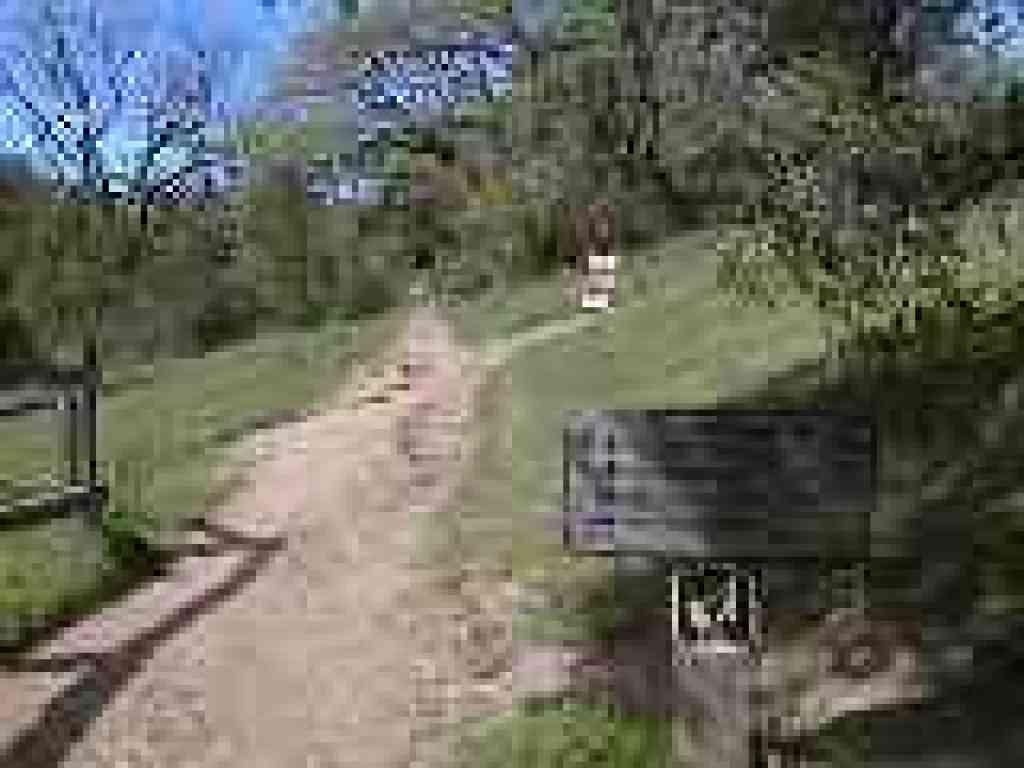 Junction
