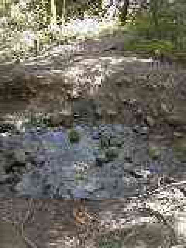 Creek crossing
