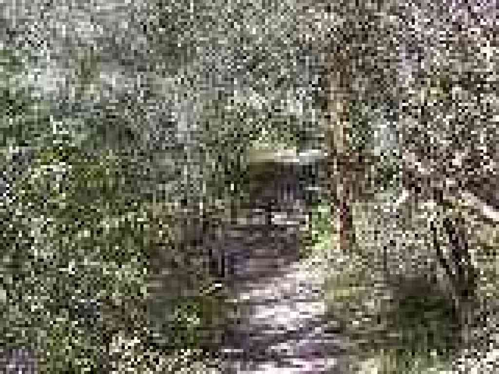 Junction