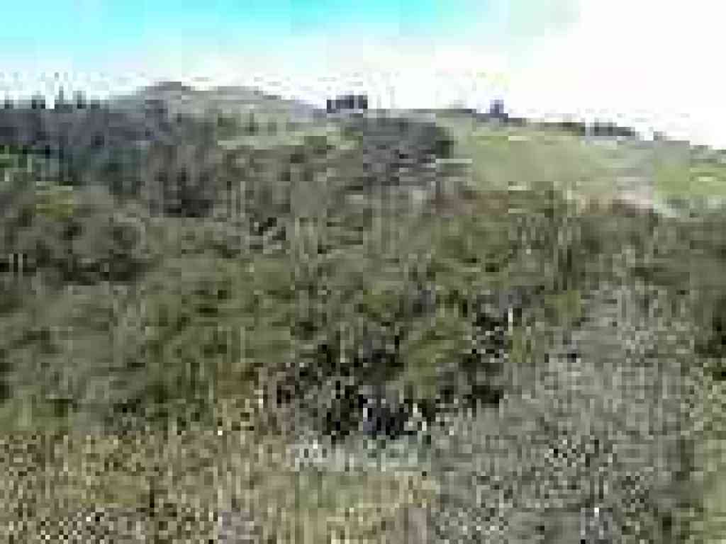 Photo of Windy Hill Open Space Preserve