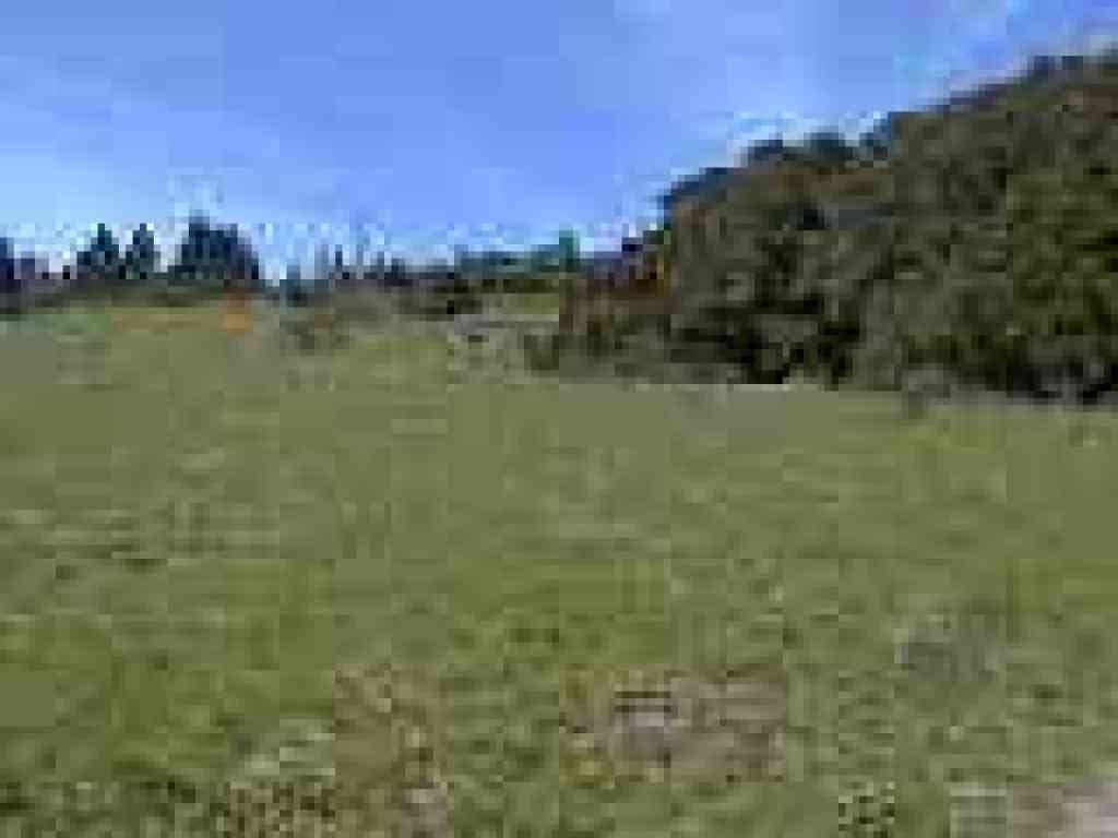 Grassy