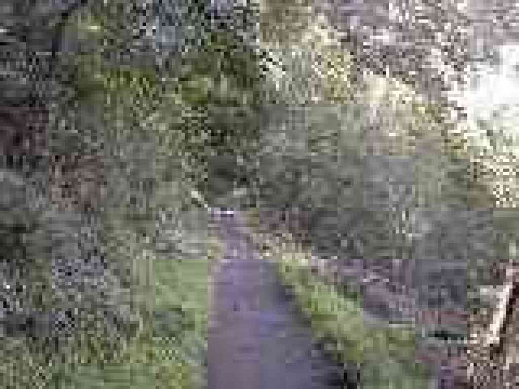 Climbing