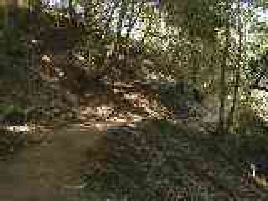 Hamms Gulch Trail