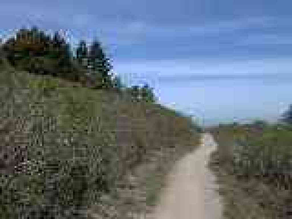 Lost Trail