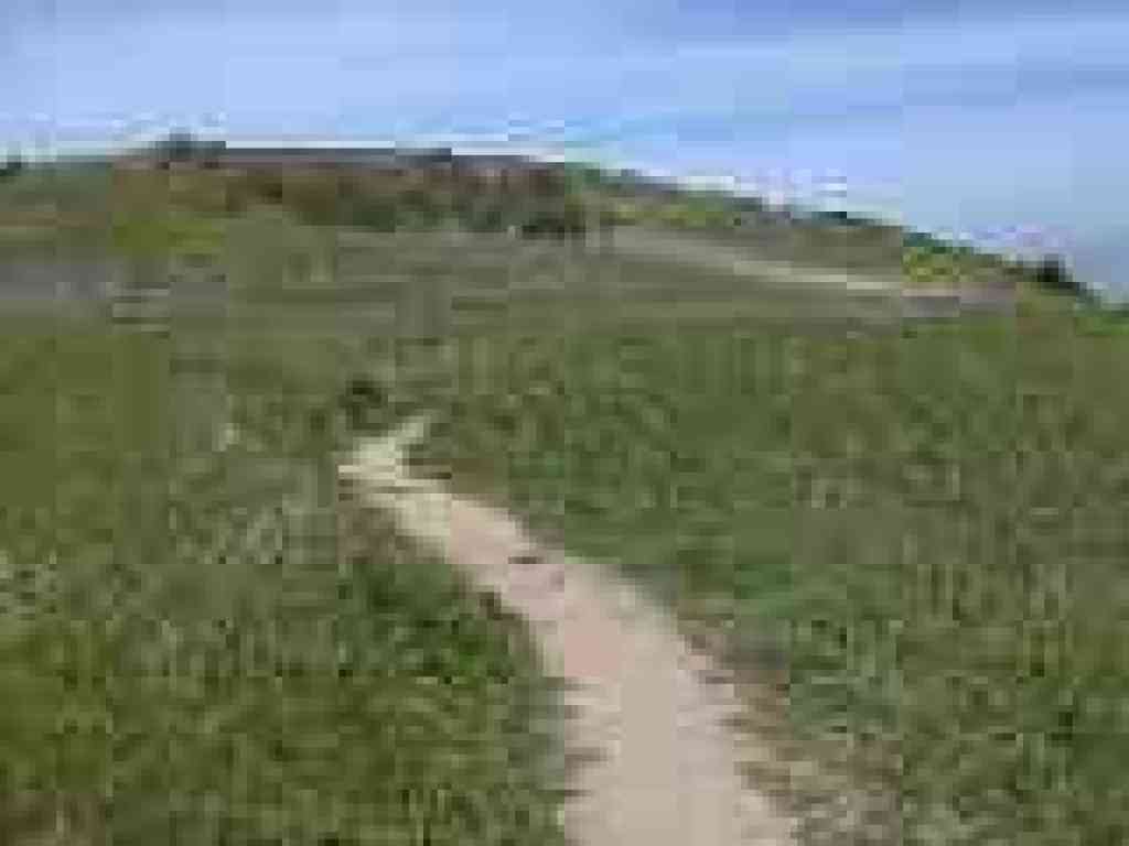 Through grassland