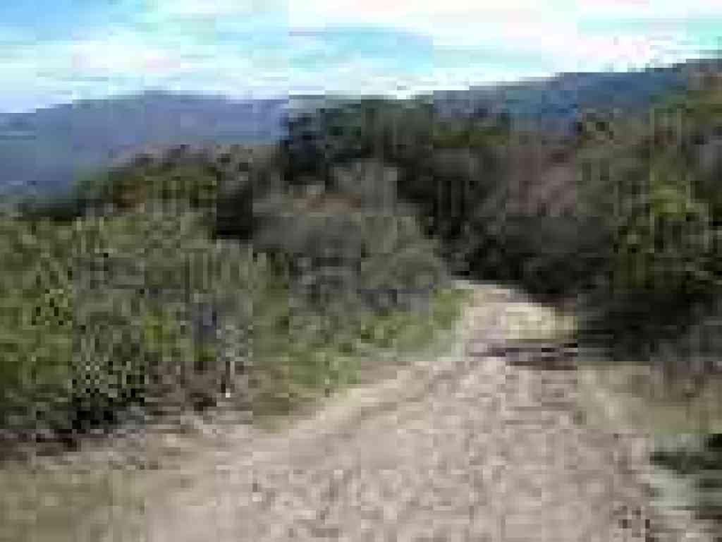 Spring Ridge Trail
