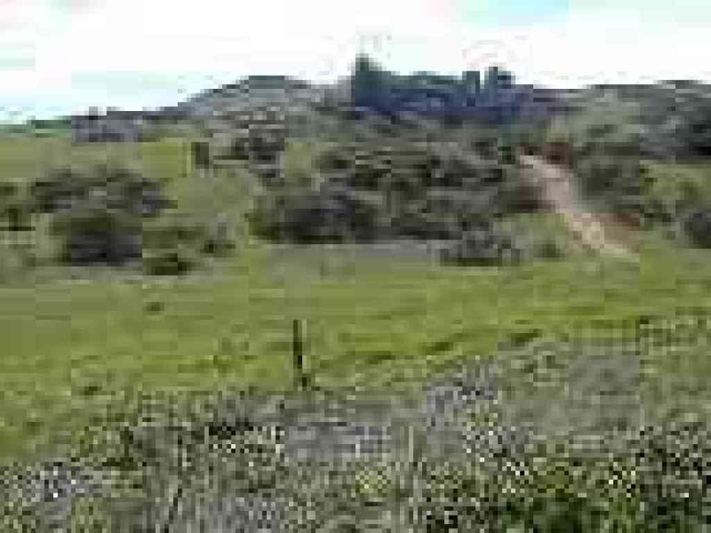 View back uphill