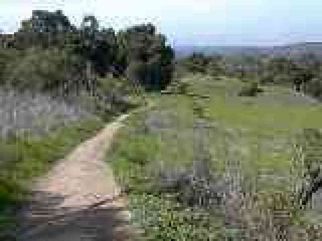 Descending along a meadow