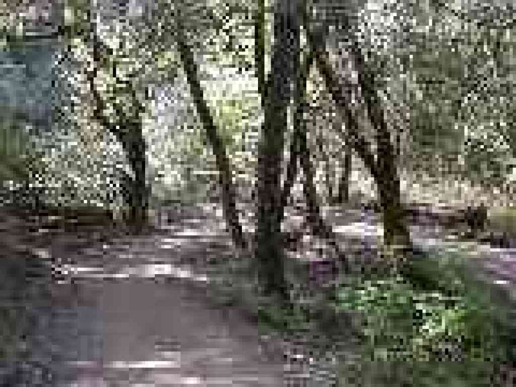 Curve at the preserve boundary
