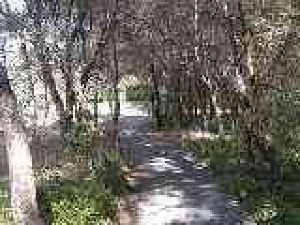 Sausal Trail