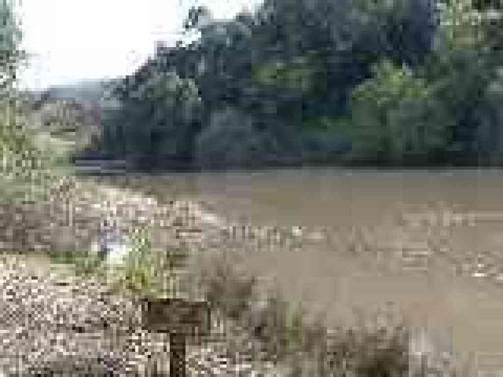 Sausal Pond