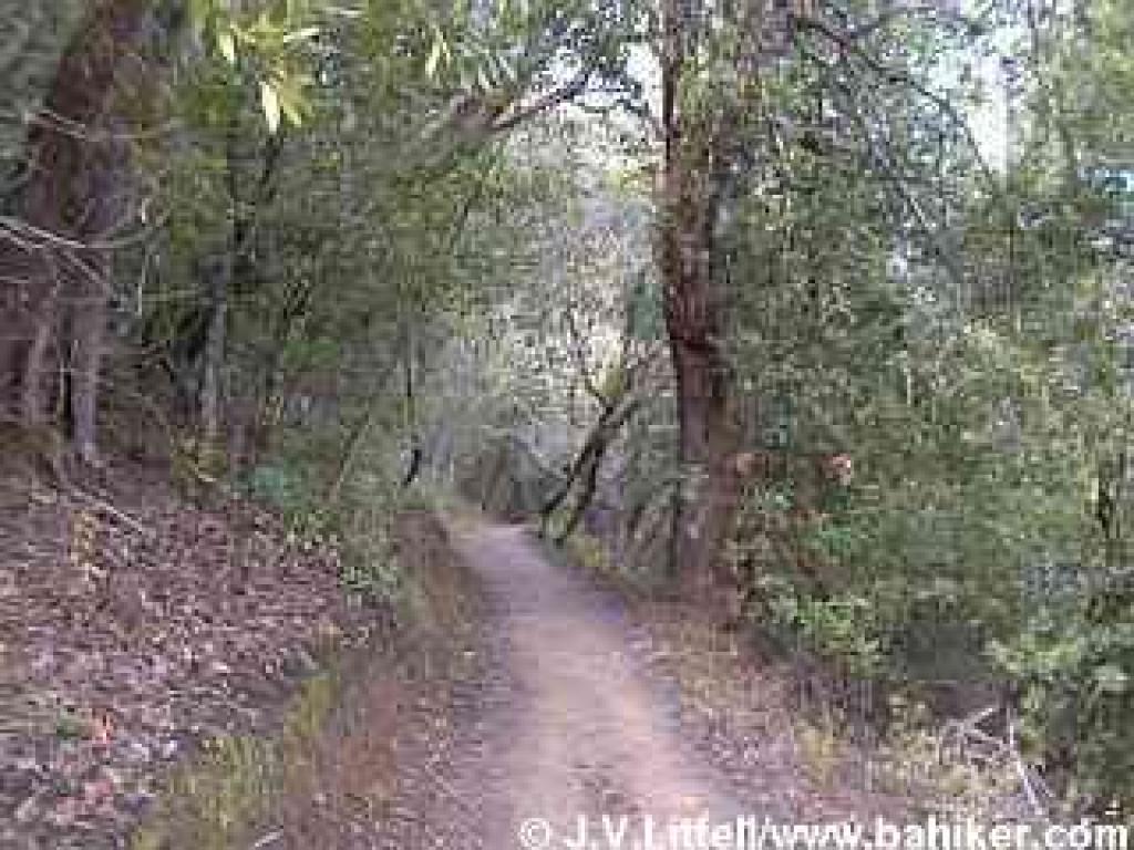 Sausal Trail
