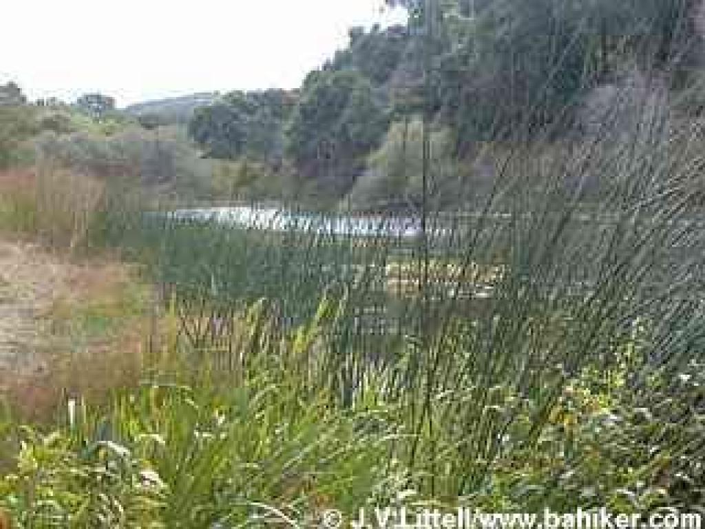 Sausal Pond
