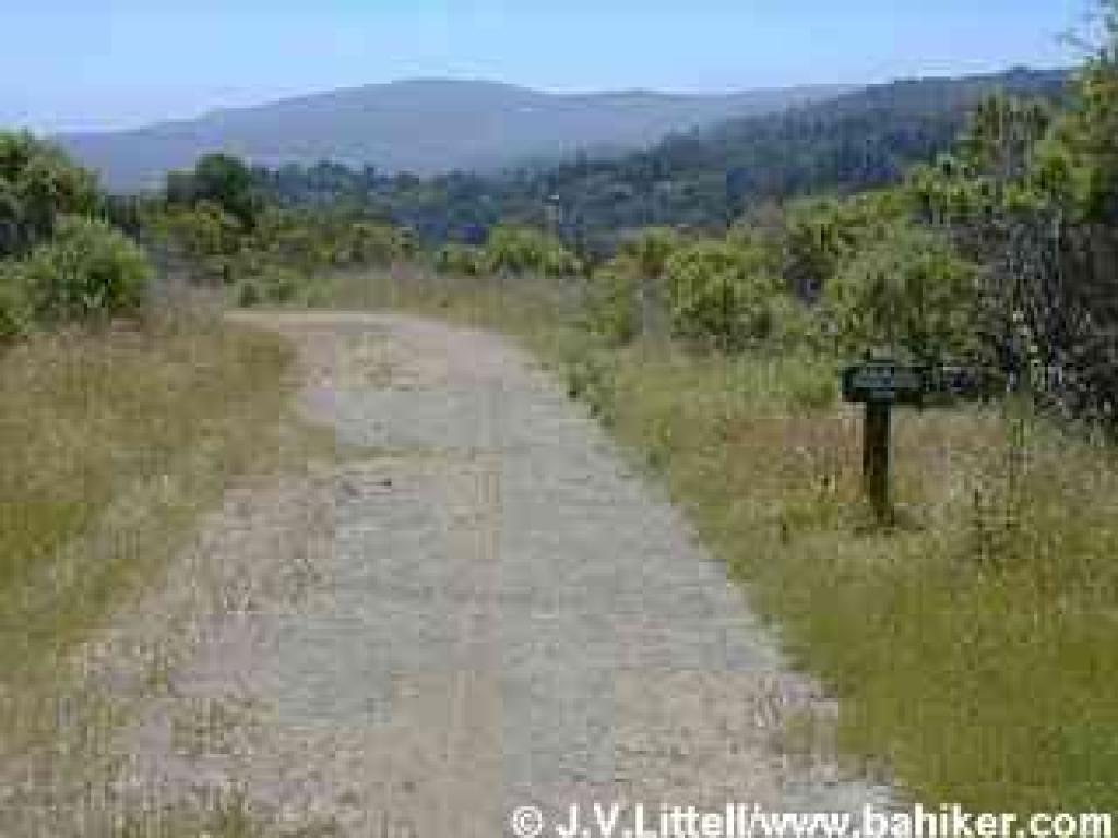 The start of Meadow Trail