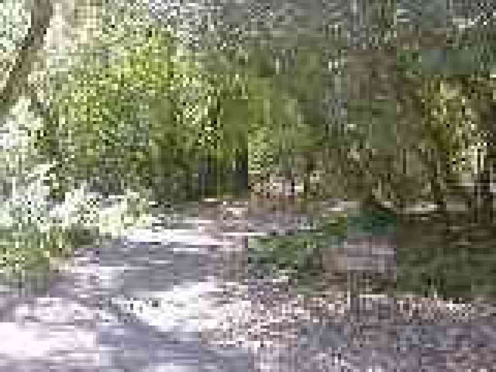 Start of Alambique Trail