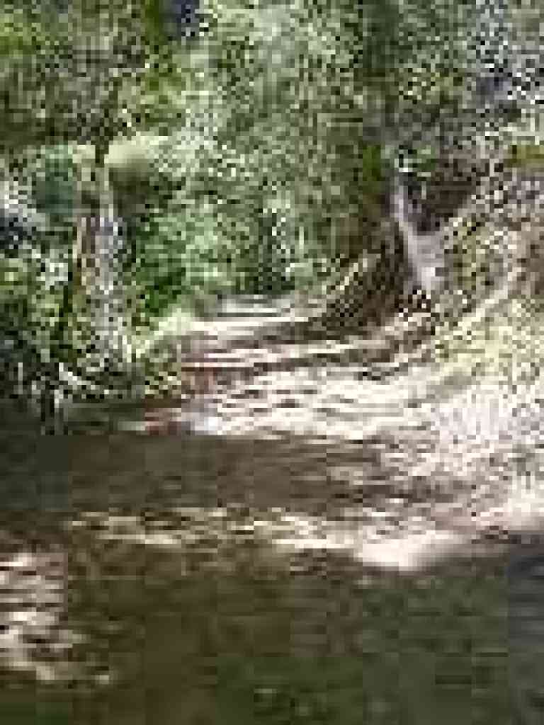 Alambique Trail