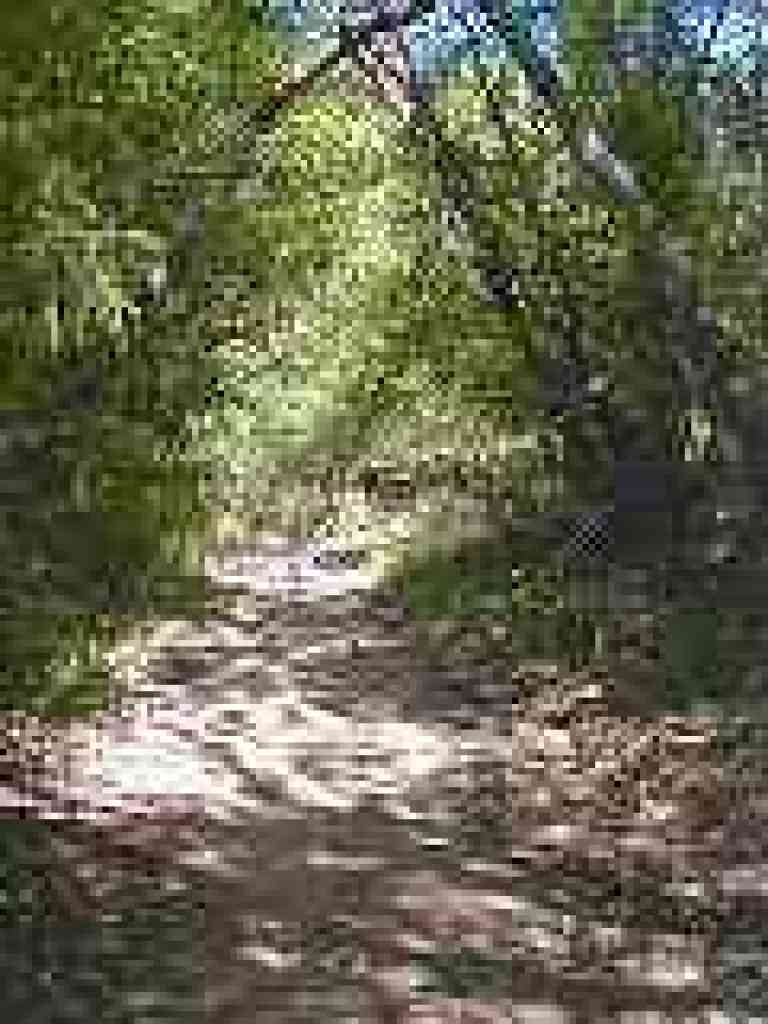 Approaching junction