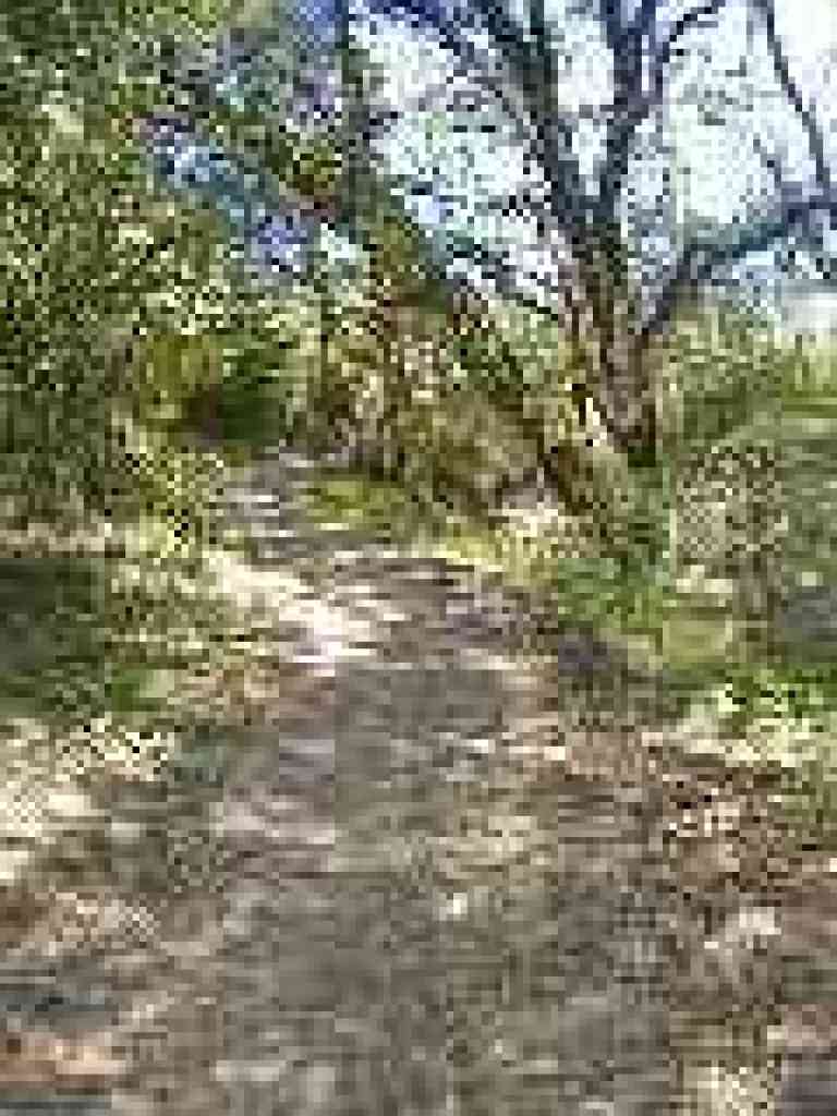 Bear Gulch Trail