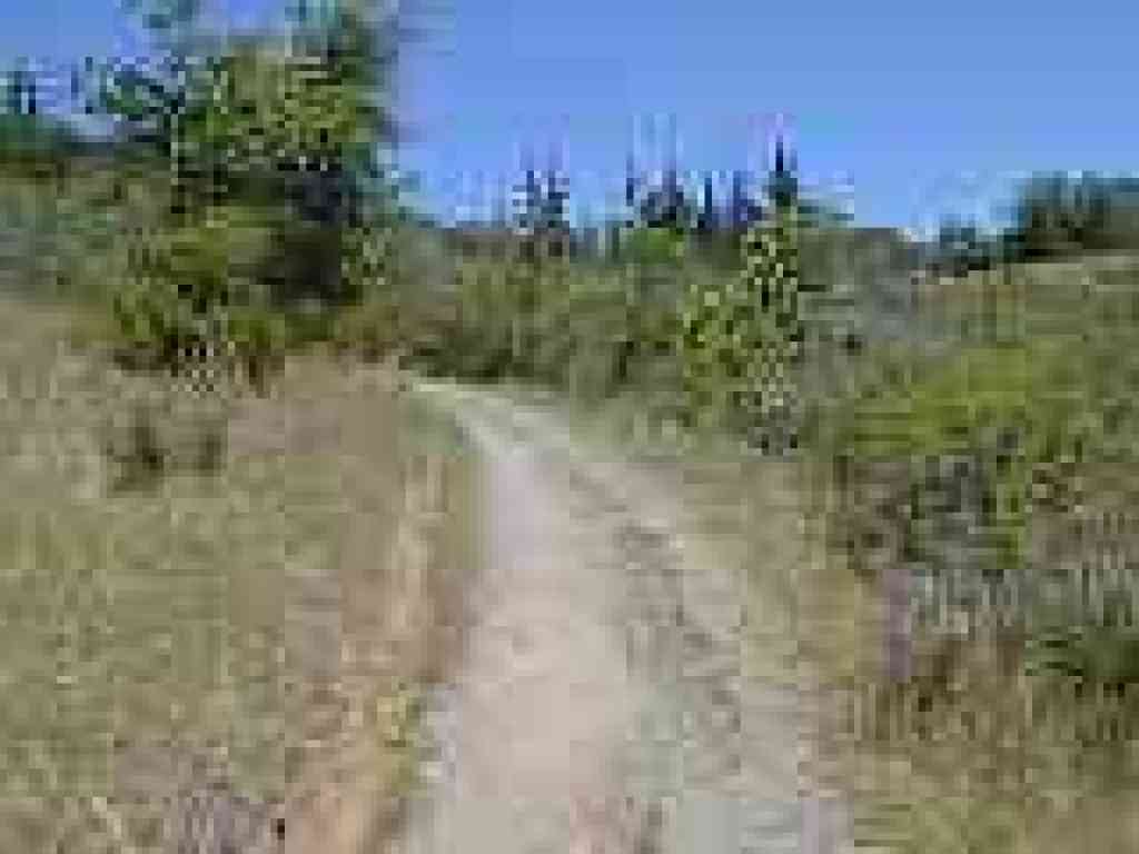 Entering the meadows
