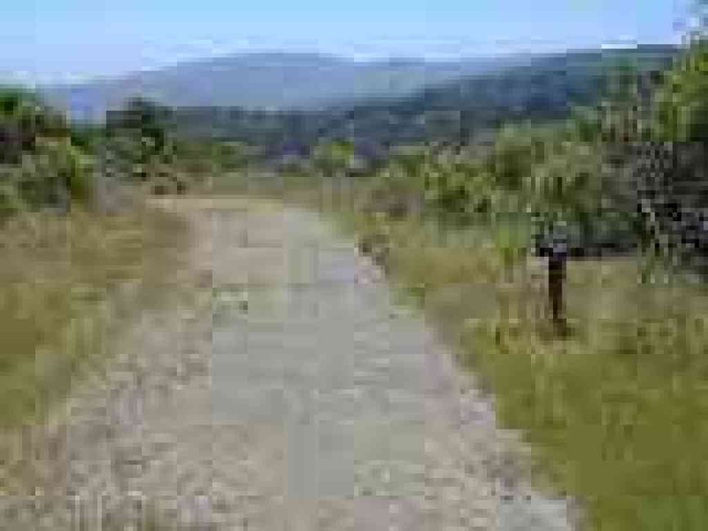 Meadow Trail