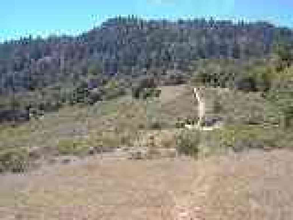 View west