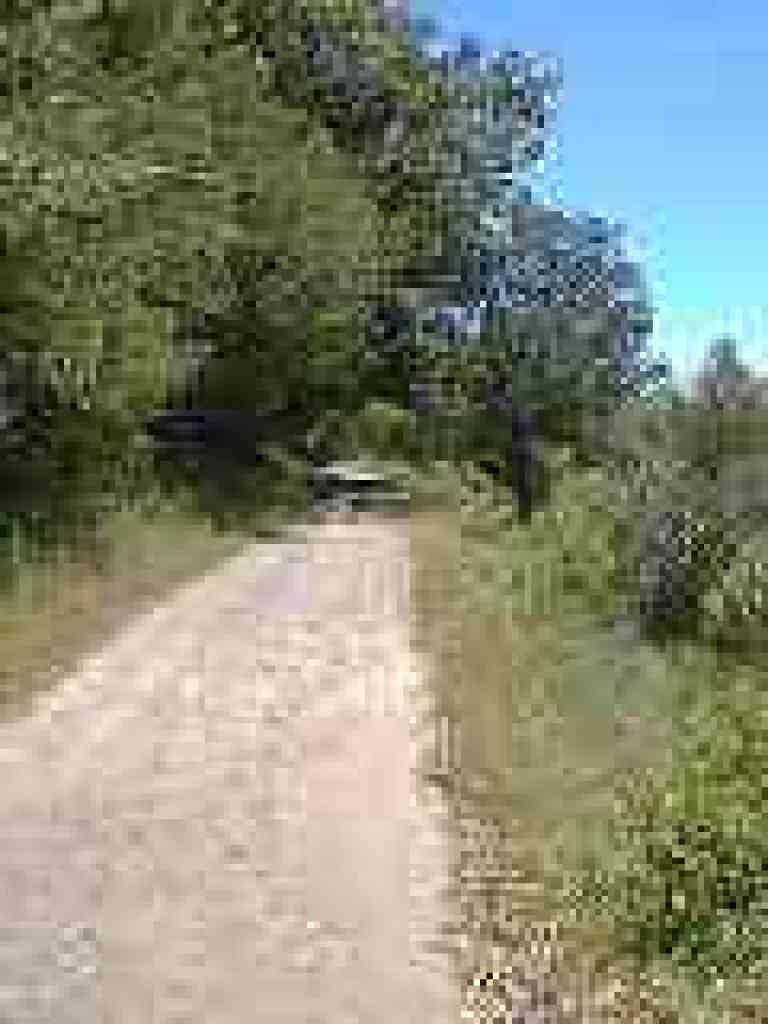 Meadow Trail