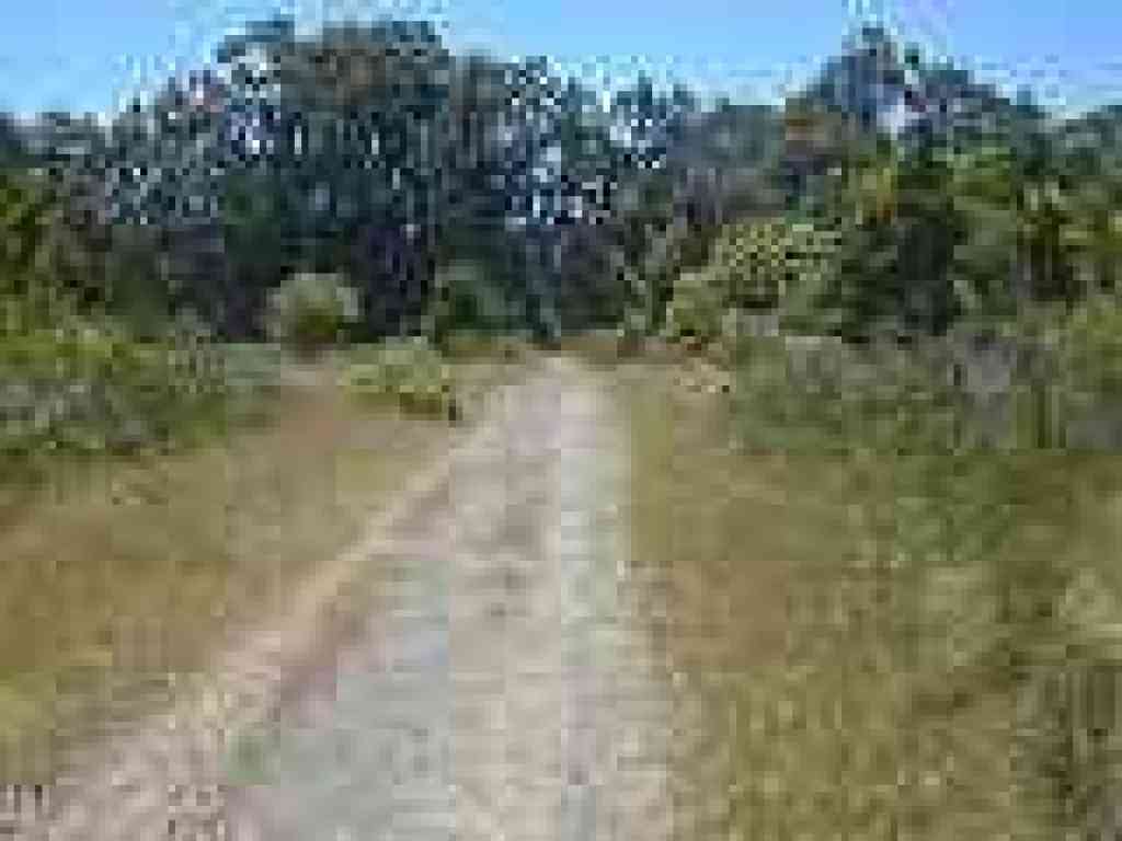 Meadow Trail