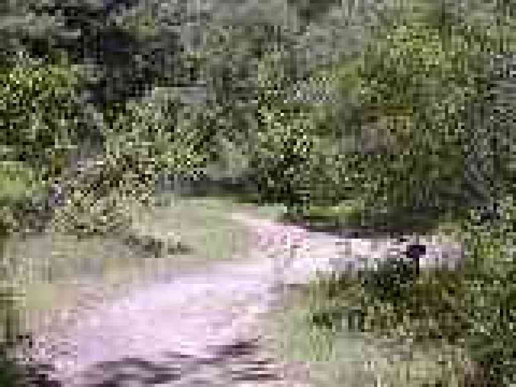Junction