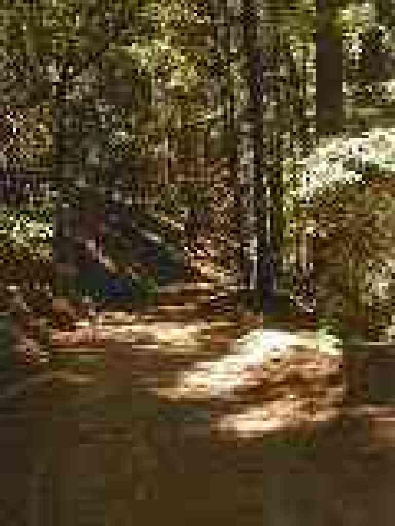 Under redwoods