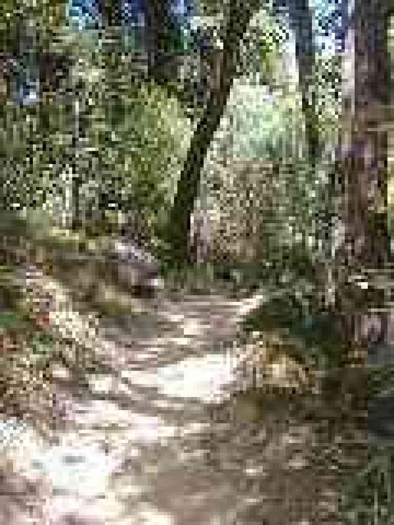 Rocks line the trail