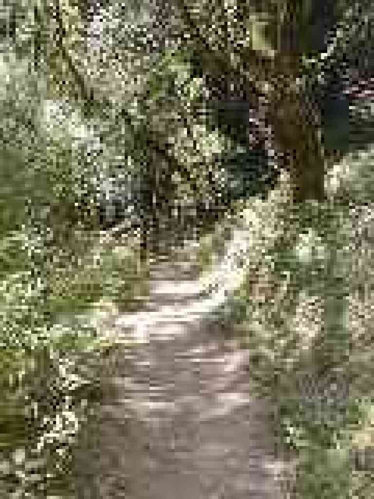 Switchback