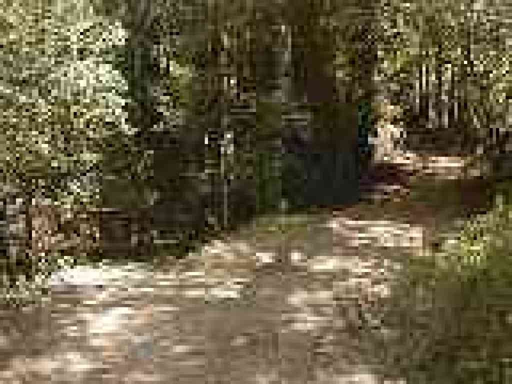 Junction with Loop Trail