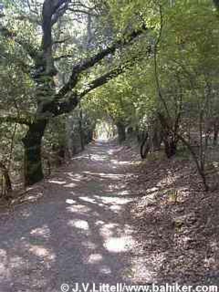 Alambique Trail