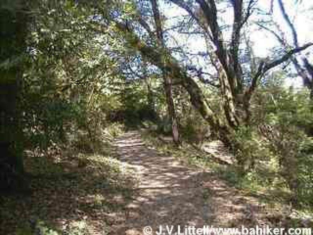 Bear Gulch Trail