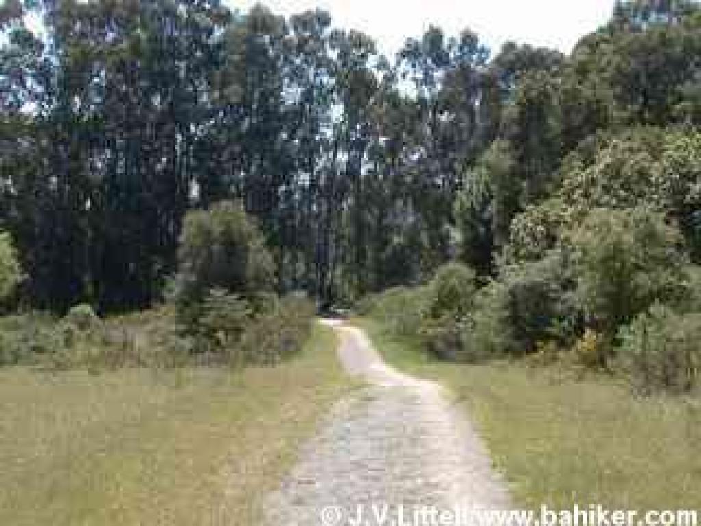 Meadow Trail photo