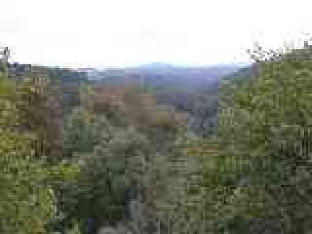 Redwood Regional Park