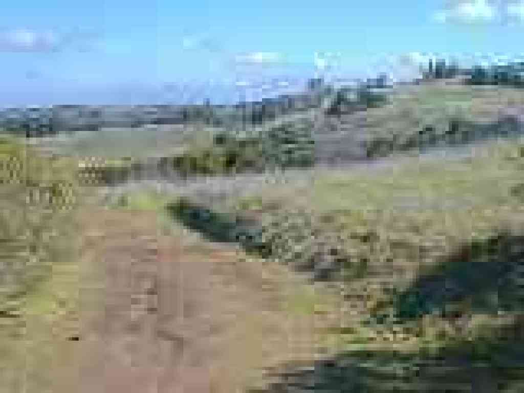 Photo of Coal Creek Open Space Preserve